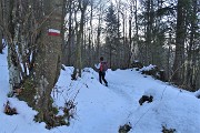 70 Sul sent. 503 panoramico per Cornalba